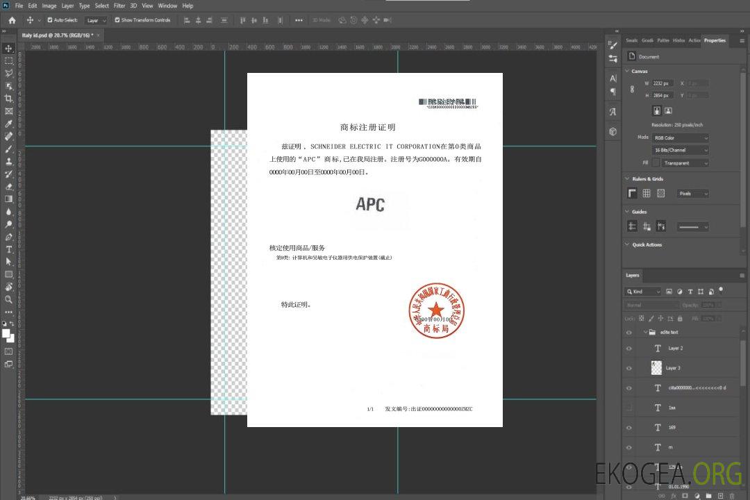 Certificat d'enregistrement de marque template Certificat d'enregistrement de marque template
